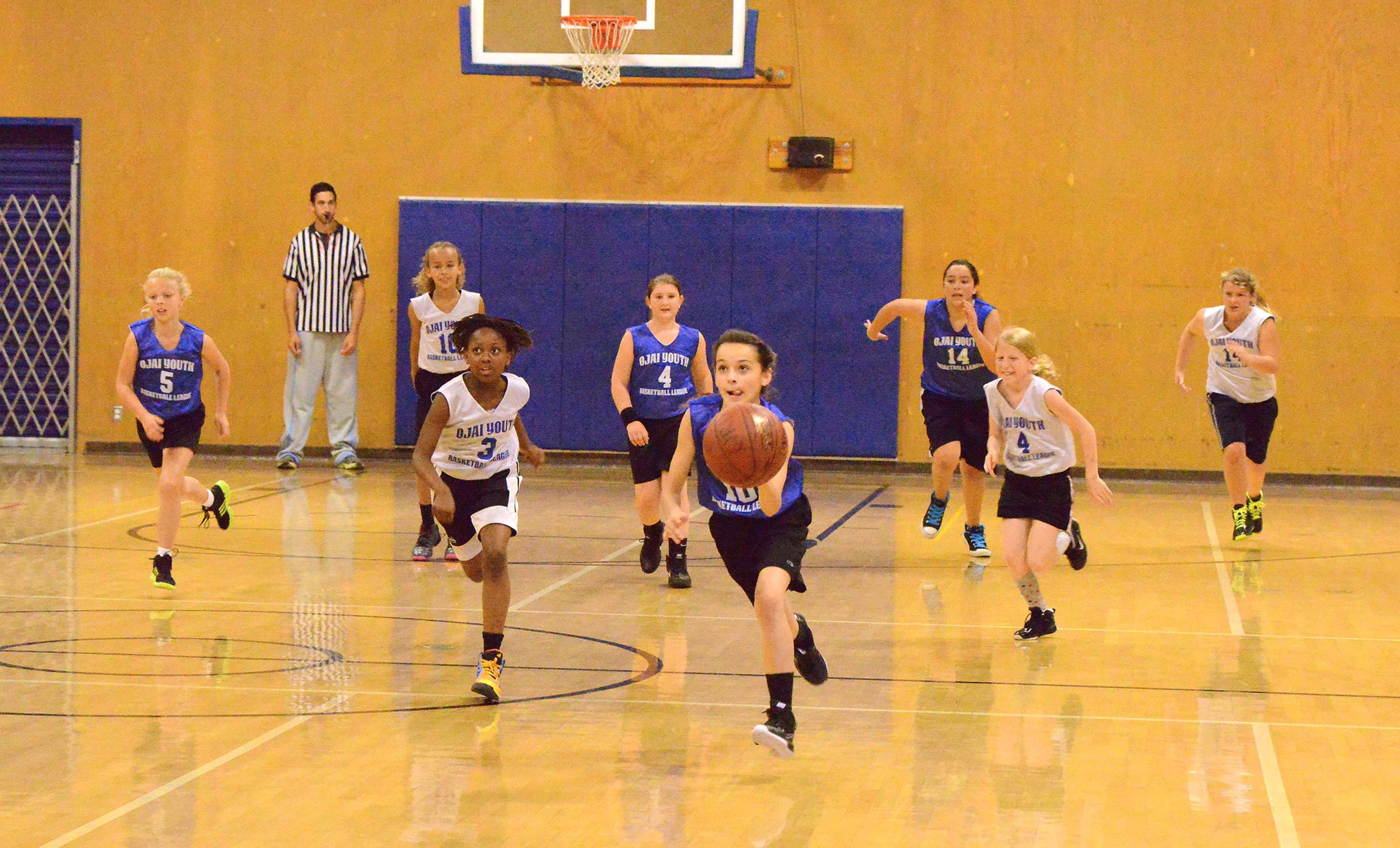 Youth Basketball